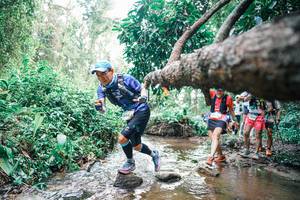 BIB: 
                            <button type="button" onclick="openModal(25372839)" class="btn btn-primary btn-sm float-right btn-popup" data-toggle="modal" data-target=".modal-high-quality">
                        <i class="fas fa-shopping-cart"></i> Add to Cart
                    </button>
                                            <button type="button" onclick="isThisMe(25372839, true)" class="btn btn-success btn-sm float-right btn-popup btn-isme hidden" data-toggle="tooltip" data-placement="bottom" title="นี่คือรูปของคุณใช่ไหม คลิกที่นี่เพื่อเอาเข้าอัลบั้ม">
                        <i class="fas fa-plus"></i> Add to album
                    </button>
                    <button type="button" onclick="isThisMe(25372839, false)" class="btn btn-warning btn-sm float-right btn-popup btn-isnotme hidden">
                        <i class="fas fa-ban"></i> Remove from album
                    </button>